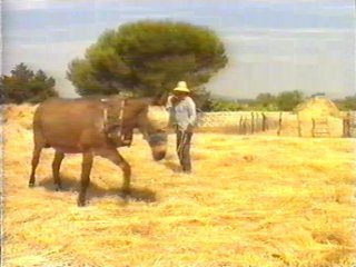 CAMPO (92)  LABRANZA